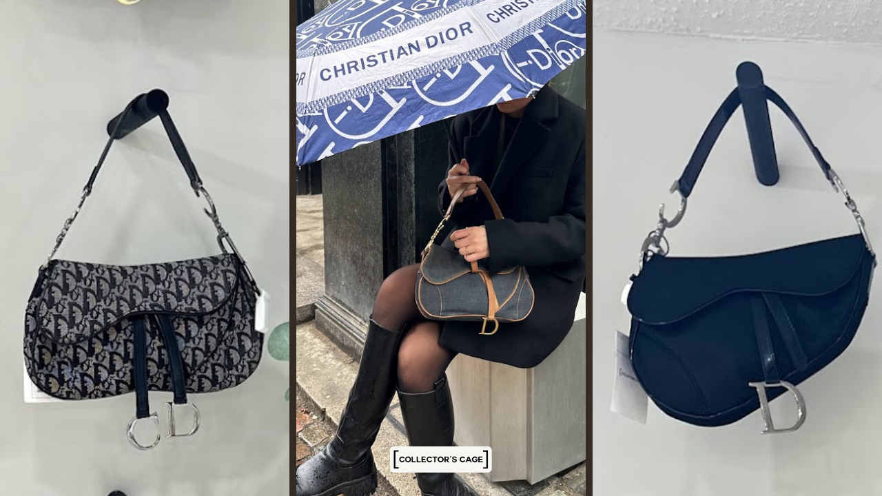 Saddlebag dior sale