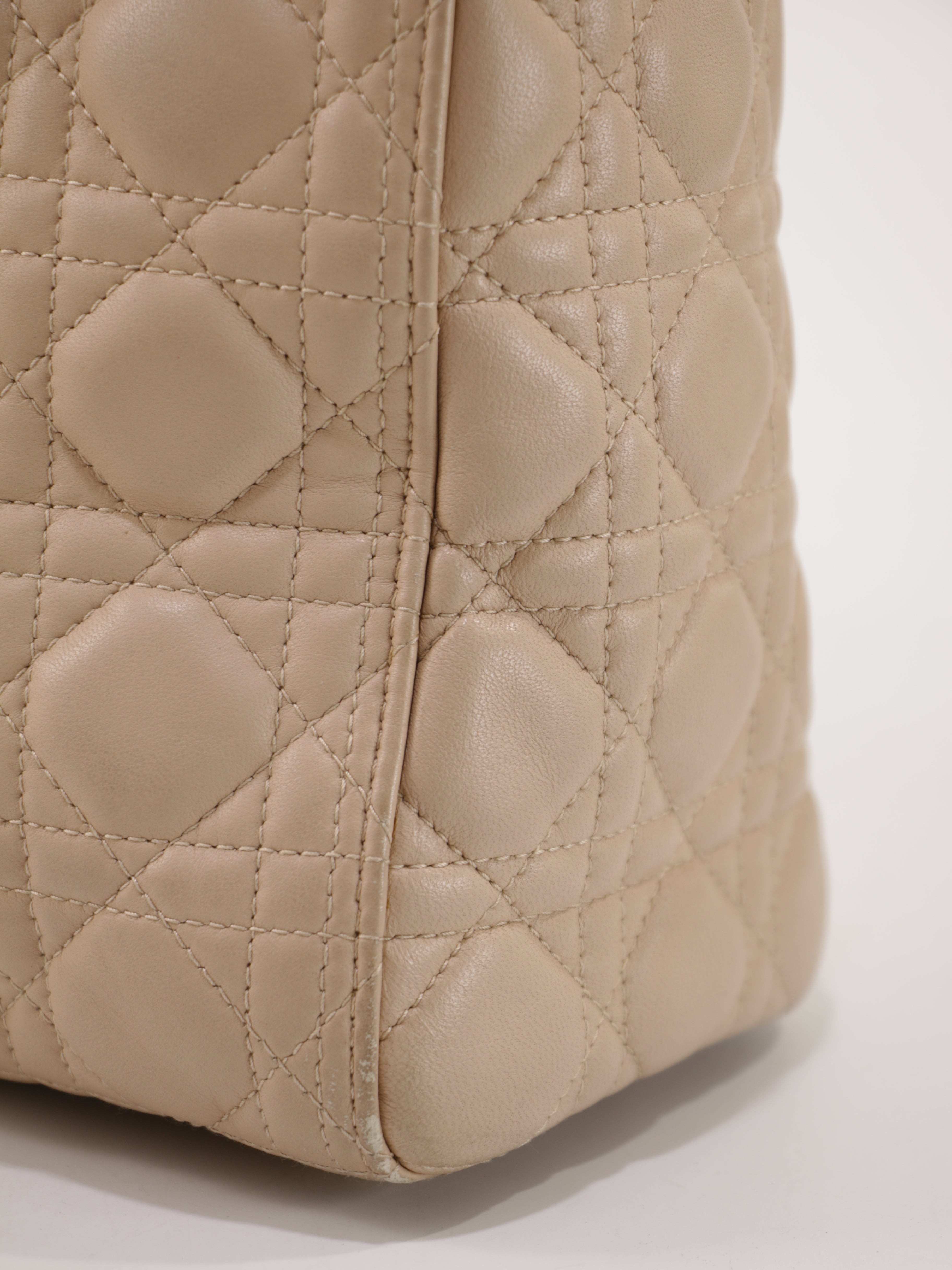 Large Lady Dior