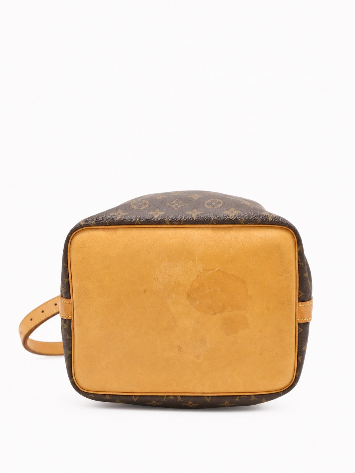 Petit Noé