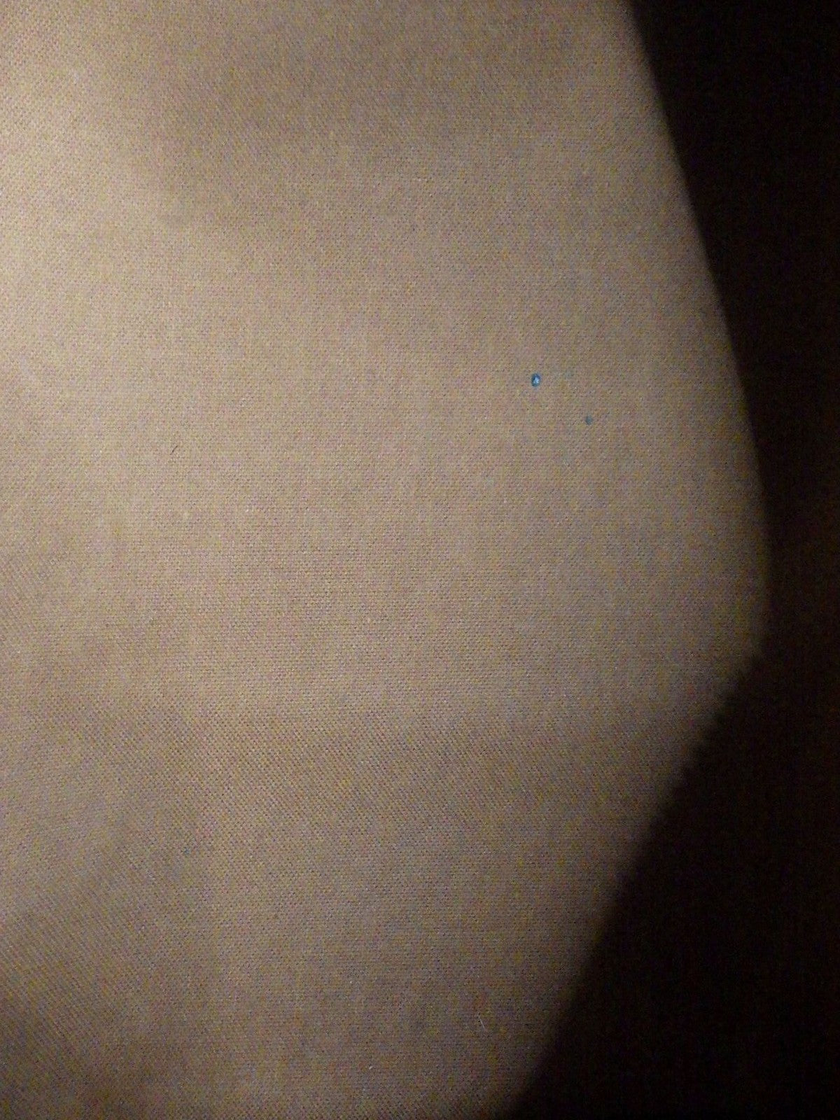 Speedy 30