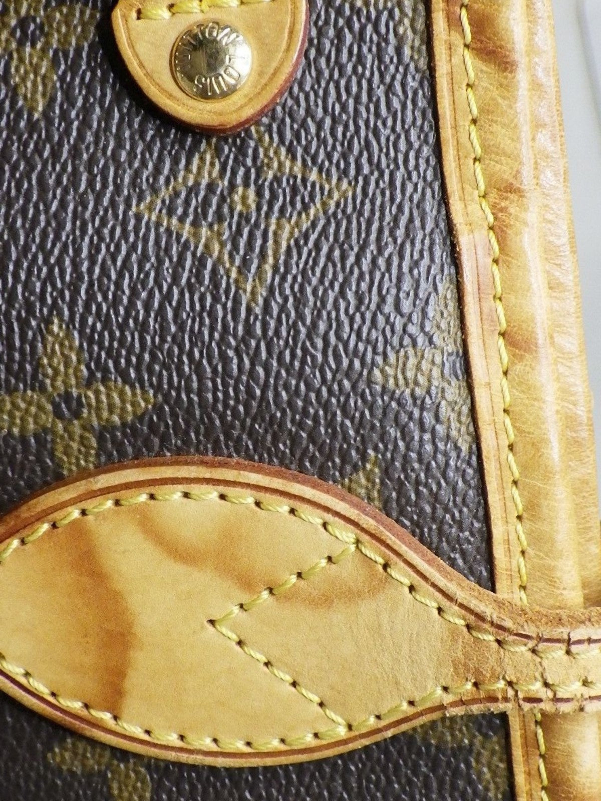 Louis Vuitton Neverfull PM