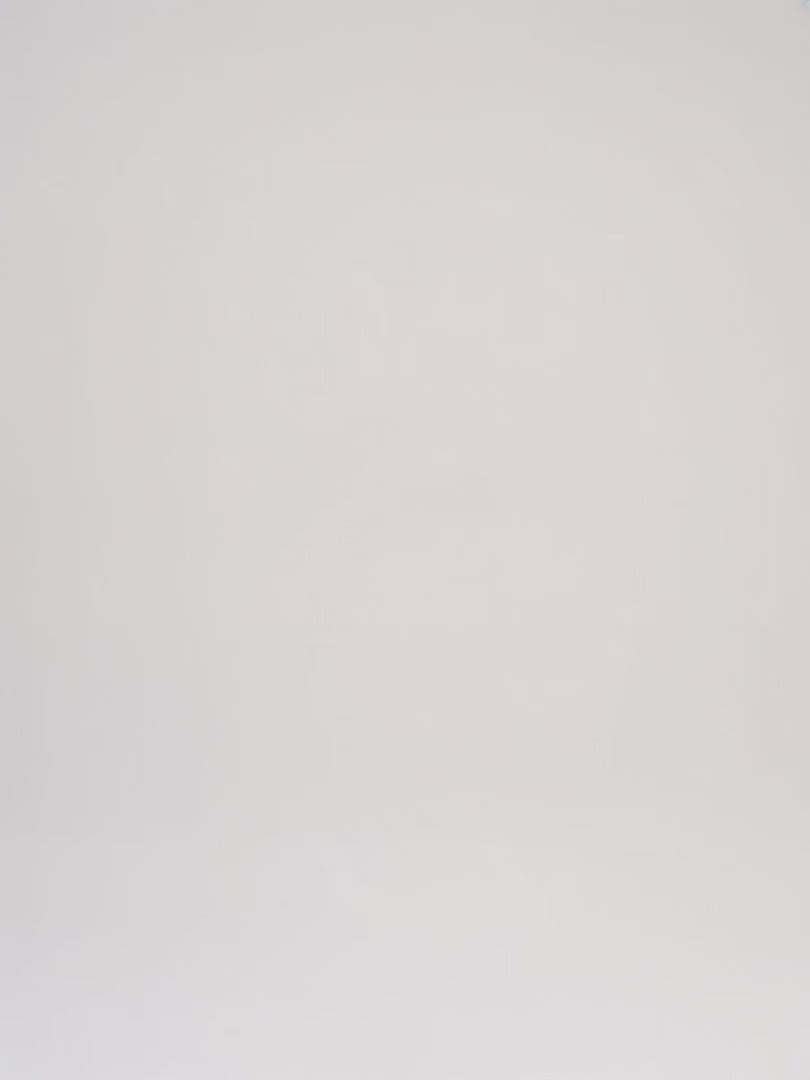 Indlæs video: Louis Vuitton Noé
